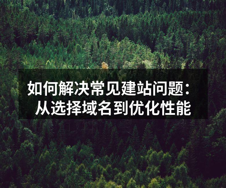 如何解决常见建站问题：从选择域名到优化性能