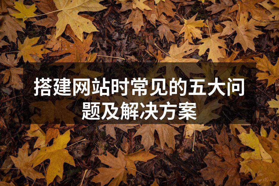 搭建网站时常见的五大问题及解决方案