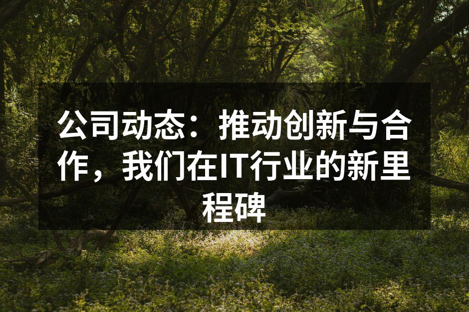 公司动态：推动创新与合作，我们在IT行业的新里程碑
